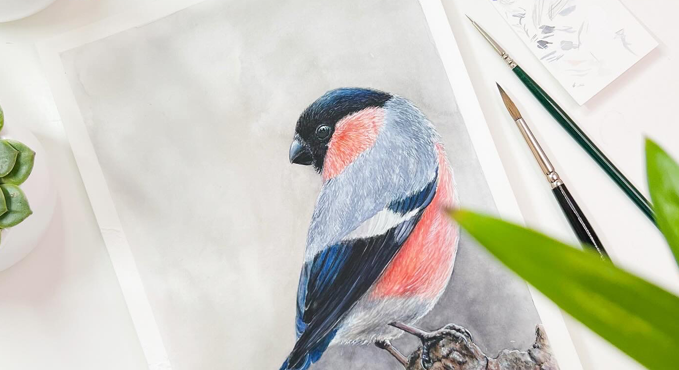 Watercolor bullfinch