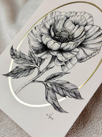Anemone Flower postcard