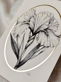 Iris postcard